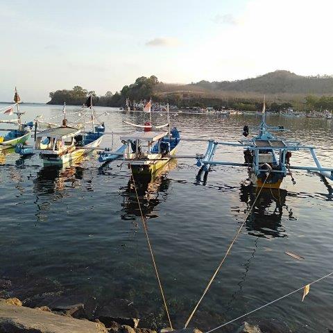 Wisata Pantai Grajagan 1 Wisata Pantai Grajagan 1