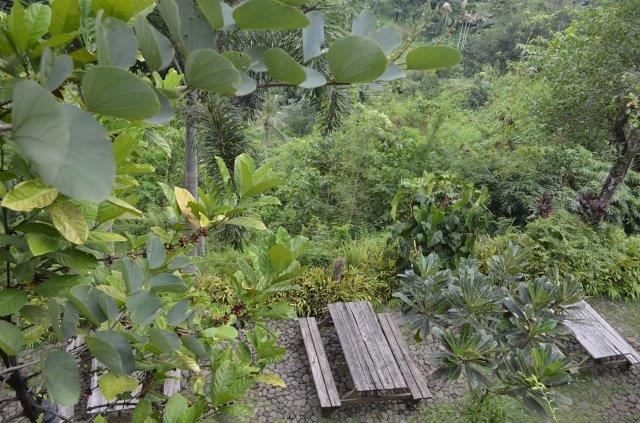 Pondok Indah Resto 1