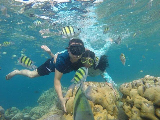 Wisata Pulau Cubadak 6