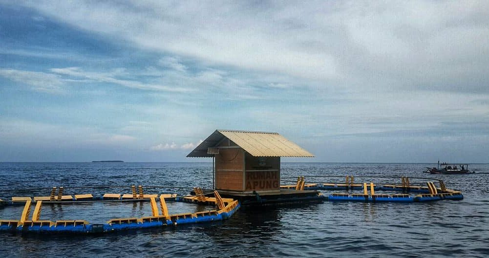 Wisata Rumah Apung Bangsring 3