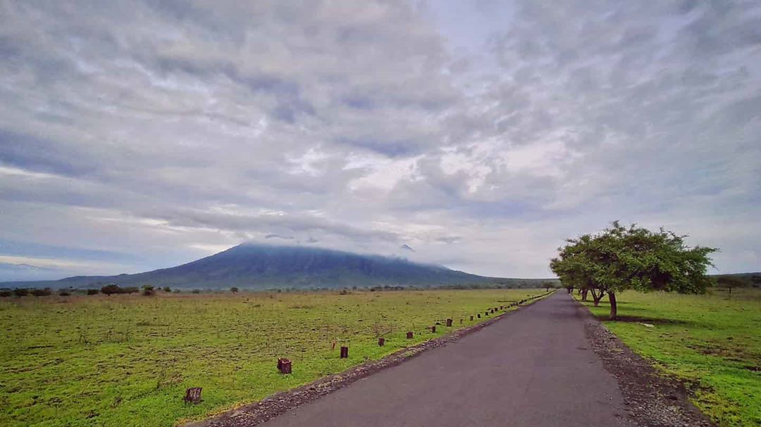 Taman Nasional Baluran 3