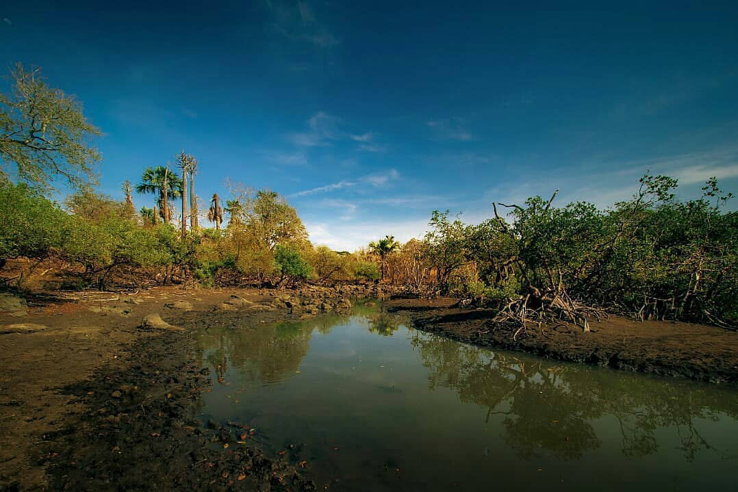 Taman Nasional Baluran 8