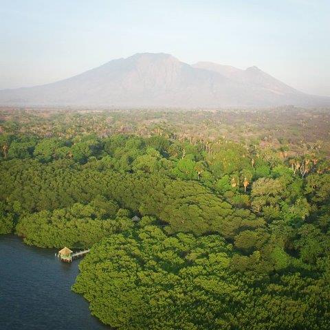 Taman Nasional Baluran 4