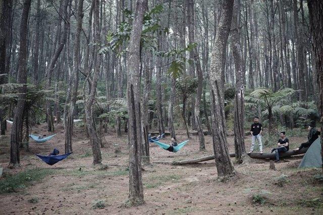 Ujung Aspal Wanayasa 8 Ujung Aspal Wanayasa 8