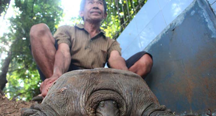 Wisata Kura Kura Belawa Cirebon 4