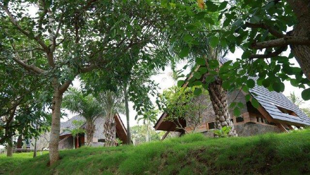 10 Gambar Desa Wisata Osing Kampung Kemiren Banyuwangi, Hotel Cottage Penginapan + Asal Usul 6 10 Gambar Desa Wisata Osing Kampung Kemiren Banyuwangi, Hotel Cottage Penginapan + Asal Usul 6