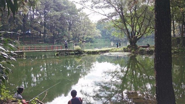 Telaga Remis Kuningan 8