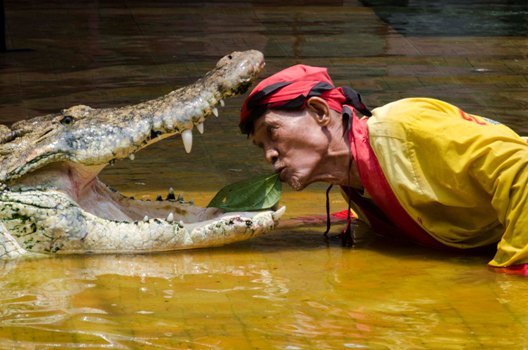 10 Gambar Taman Buaya Indonesia Jaya Cibarusah Bekasi + Harga Tiket Masuk Wisata 2025 9