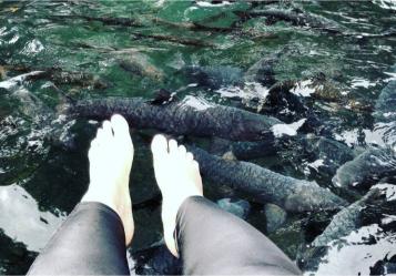 Wisata Cibulan di Kuningan 8 Wisata Cibulan di Kuningan 8