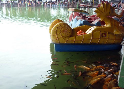 10 Gambar Danau Tanah Mas Palembang, Lokasi Alamat Waterboom, Harga Tiket Masuk Wisata + Nomor Telepon Water Park 7