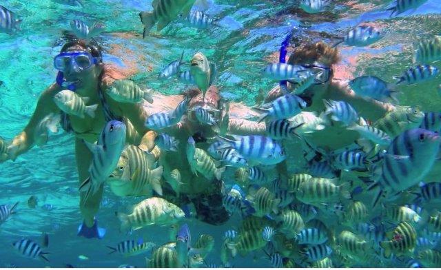 Cara Ke Pulau Abang Batam, Paket Resort Penginapan + Biaya Wisata Snorkeling 8 Cara Ke Pulau Abang Batam, Paket Resort Penginapan + Biaya Wisata Snorkeling 8