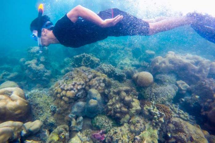 Cara Ke Pulau Abang Batam, Paket Resort Penginapan + Biaya Wisata Snorkeling 5 Cara Ke Pulau Abang Batam, Paket Resort Penginapan + Biaya Wisata Snorkeling 5