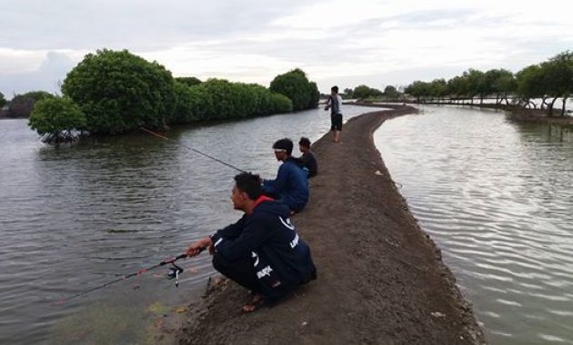Rute Akses Jalan Menuju Ke Lokasi Pantai Muara Bendera Bekasi dan Berapa Harga Tiket Masuknya? 4 Rute Akses Jalan Menuju Ke Lokasi Pantai Muara Bendera Bekasi dan Berapa Harga Tiket Masuknya? 4