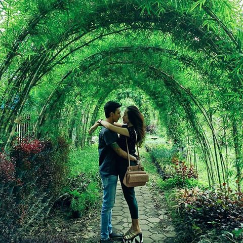 Taman Bambu Yang Cantik 6