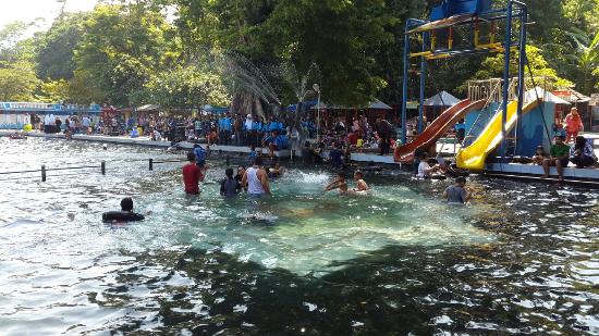 Berenang Bareng Ikan Keramat, Berani? Hanya di Objek Wisata Cibulan Kuningan 3