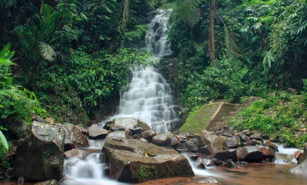 Wisata Air Terjun Irenggolo 4