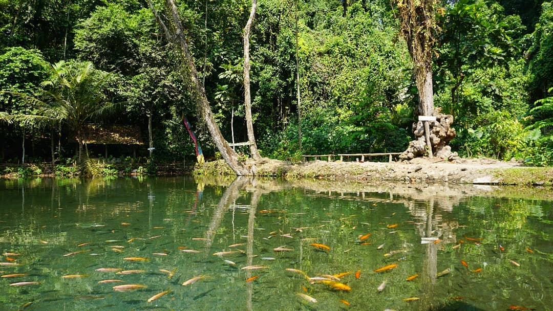 Wisata Sumber Ubalan 1 Wisata Sumber Ubalan 1