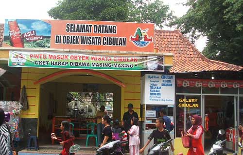 Berenang Bareng Ikan Keramat, Berani? Hanya di Objek Wisata Cibulan Kuningan 4