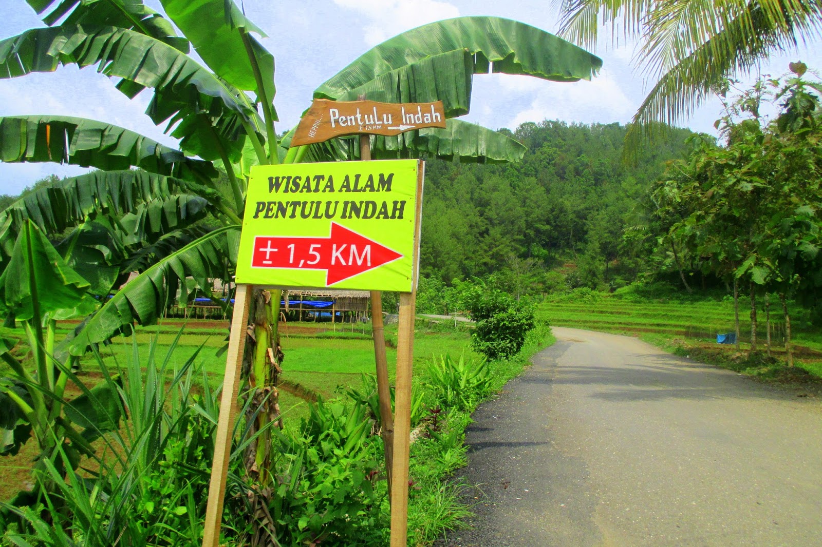 10 Gambar Bukit Pentulu Indah Kebumen, Harga Tiket Masuk, Lokasi Alamat, Rute Jalur Menuju Wisata + Jam Buka Tutup 8 10 Gambar Bukit Pentulu Indah Kebumen, Harga Tiket Masuk, Lokasi Alamat, Rute Jalur Menuju Wisata + Jam Buka Tutup 8