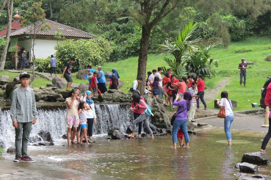 Beberapa Potret Taman Bunga Sakura di Kebun Raya Cibodas dan Berapa Harga Tiket Masuknya? 6 Beberapa Potret Taman Bunga Sakura di Kebun Raya Cibodas dan Berapa Harga Tiket Masuknya? 6
