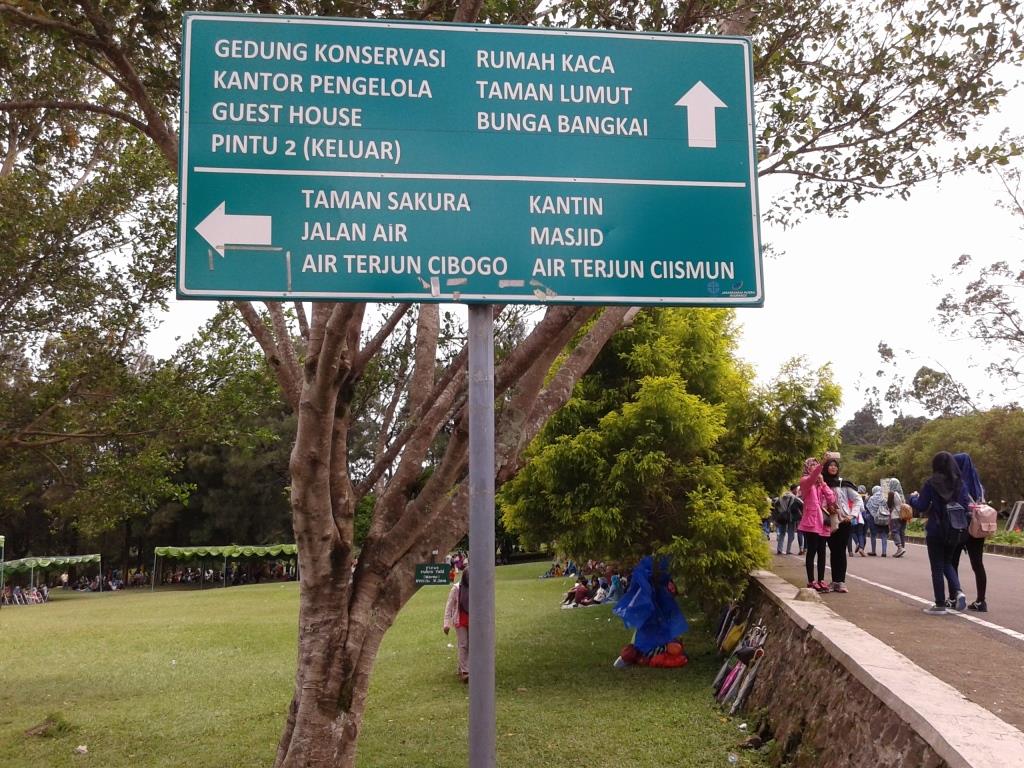 Beberapa Potret Taman Bunga Sakura di Kebun Raya Cibodas dan Berapa Harga Tiket Masuknya? 8 Beberapa Potret Taman Bunga Sakura di Kebun Raya Cibodas dan Berapa Harga Tiket Masuknya? 8