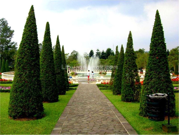 10 Gambar Taman Bunga Cianjur, Harga Tiket Masuk, Lokasi Alamat, Jam Buka Tutup + Fasilitas di Sekitar Area 8