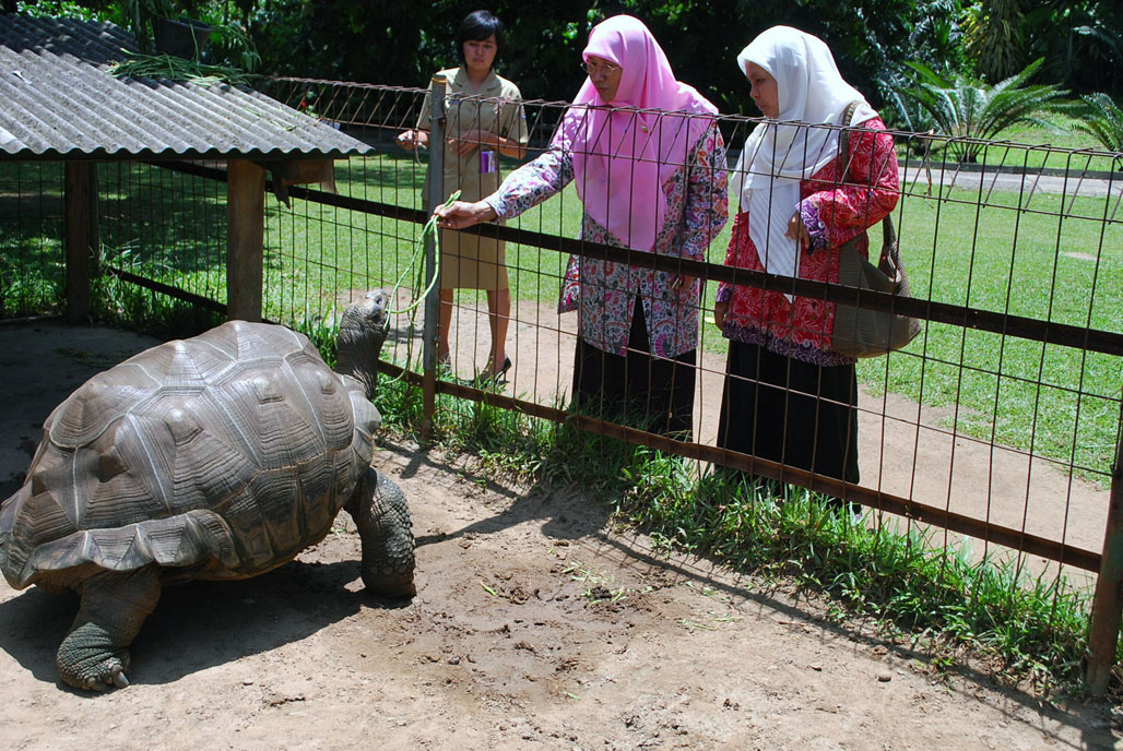 10 Gambar Godong Ijo Depok, Harga Tiket Masuk, Lokasi Alamat, Jam Buka Tutup, Nomer Telefon + Kuliner di Sekitar Area 5 10 Gambar Godong Ijo Depok, Harga Tiket Masuk, Lokasi Alamat, Jam Buka Tutup, Nomer Telefon + Kuliner di Sekitar Area 5