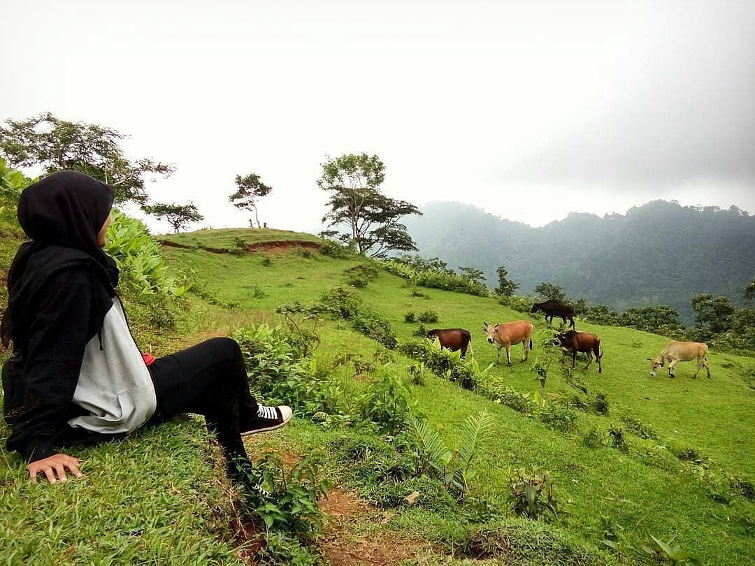 Taman Wisata Alam Cadas Gantung 8