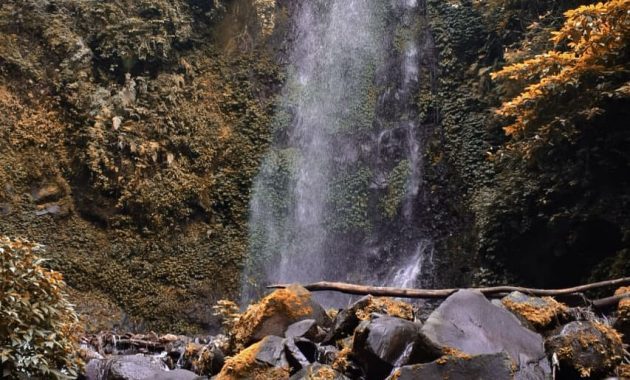 Jalan Menuju Curug Sawer 3