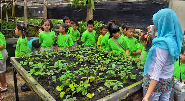 10 Gambar Godong Ijo Depok, Harga Tiket Masuk, Lokasi Alamat, Jam Buka Tutup, Nomer Telefon + Kuliner di Sekitar Area 6 10 Gambar Godong Ijo Depok, Harga Tiket Masuk, Lokasi Alamat, Jam Buka Tutup, Nomer Telefon + Kuliner di Sekitar Area 6