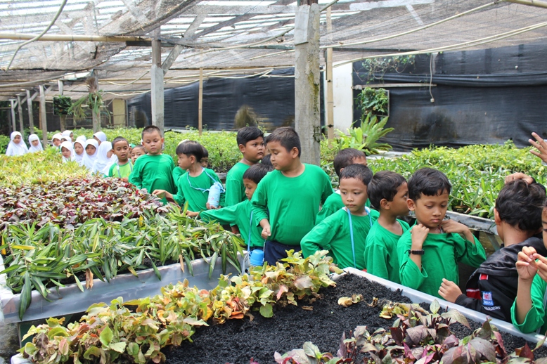 10 Gambar Godong Ijo Depok, Harga Tiket Masuk, Lokasi Alamat, Jam Buka Tutup, Nomer Telefon + Kuliner di Sekitar Area 7 10 Gambar Godong Ijo Depok, Harga Tiket Masuk, Lokasi Alamat, Jam Buka Tutup, Nomer Telefon + Kuliner di Sekitar Area 7