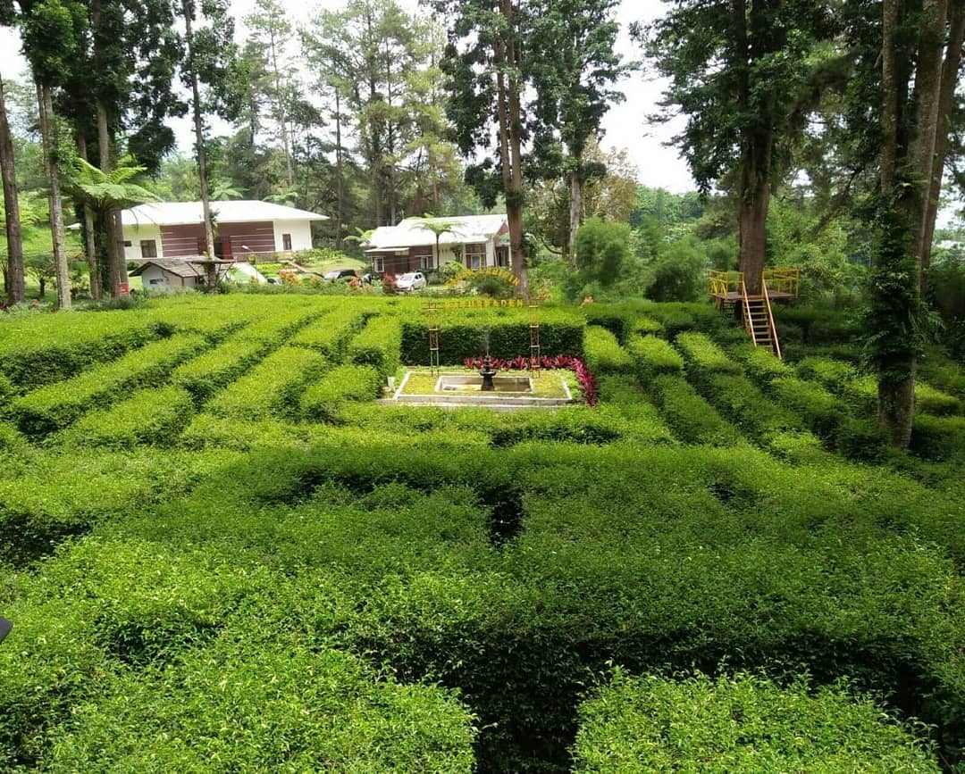 Lokasi Kebun Raya Baturaden 1 Lokasi Kebun Raya Baturaden 1