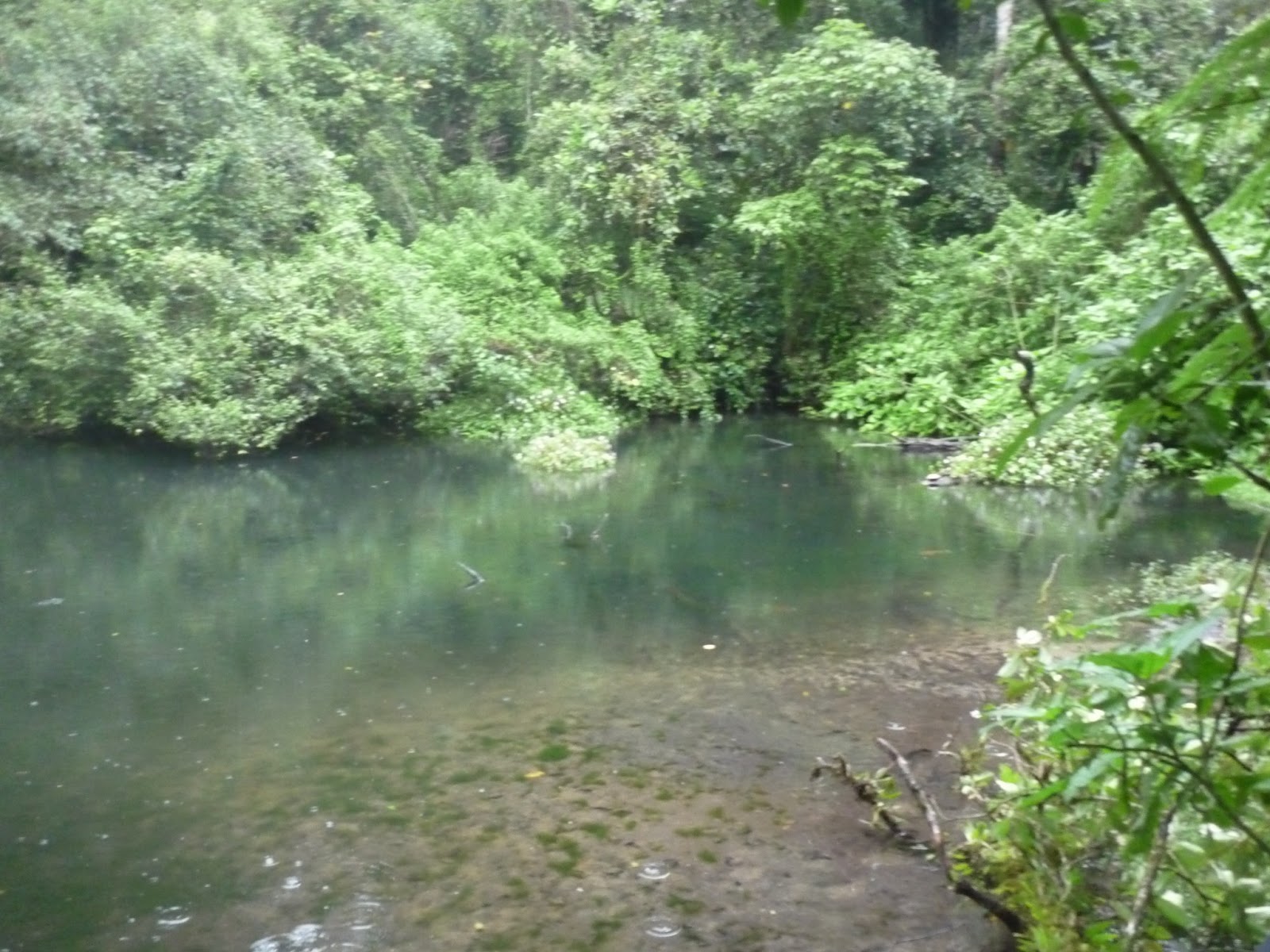 10 Gambar Air Terjun Cibeureum, Harga Tiket Masuk, Lokasi Alamat, Misteri Mitos, Total Ketinggian, Hotel di Sekitar + Rute Jalan Menuju ke Sana 6 10 Gambar Air Terjun Cibeureum, Harga Tiket Masuk, Lokasi Alamat, Misteri Mitos, Total Ketinggian, Hotel di Sekitar + Rute Jalan Menuju ke Sana 6