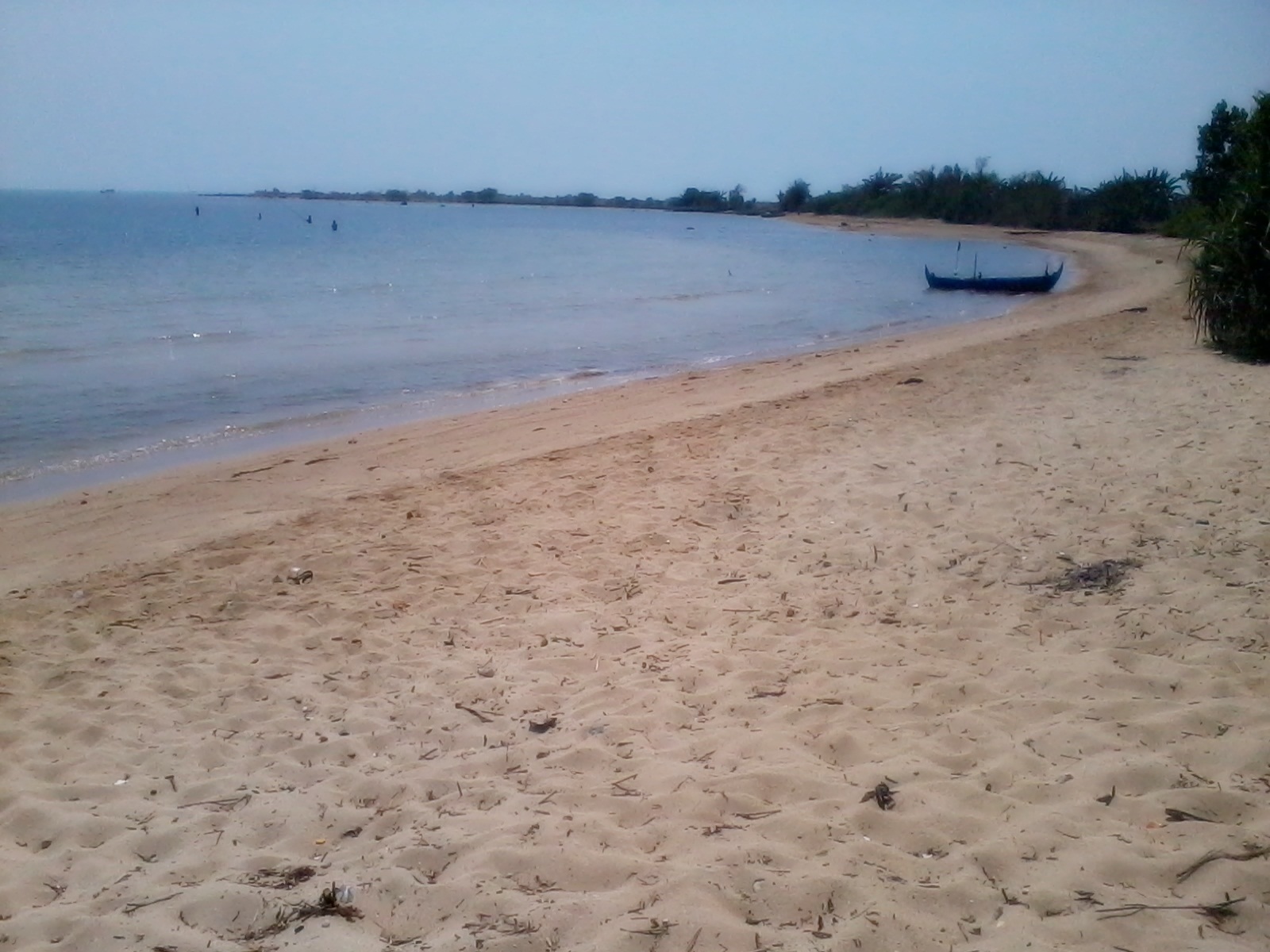 Jalan Menuju Wisata Pantai Pailus Jepara dan Potret Keindahan di Sekitar Area 2