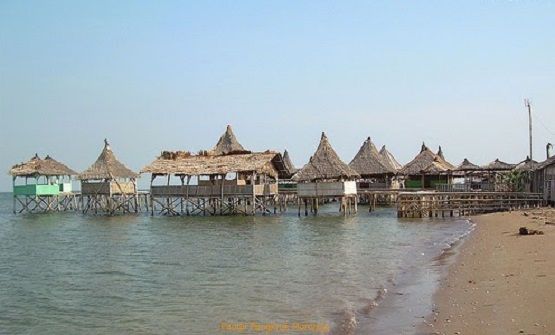 Jalan Menuju Pantai Pungkruk Jepara dan Keindahan di Sekitar Area Lokasi Wisata 2 Jalan Menuju Pantai Pungkruk Jepara dan Keindahan di Sekitar Area Lokasi Wisata 2