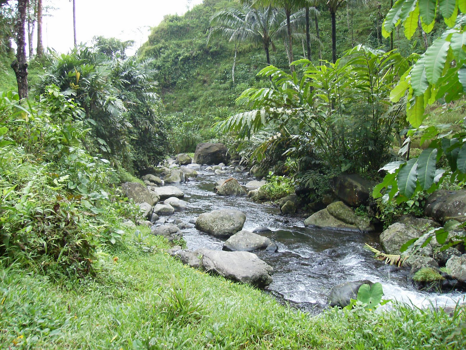 10 Gambar Curug Ceheng Purwokerto, Sejarah Asal Usul, Lokasi Alamat, Jam Buka Tutup, Misteri Mitos + Rute Jalan Menuju Wisata 7 10 Gambar Curug Ceheng Purwokerto, Sejarah Asal Usul, Lokasi Alamat, Jam Buka Tutup, Misteri Mitos + Rute Jalan Menuju Wisata 7