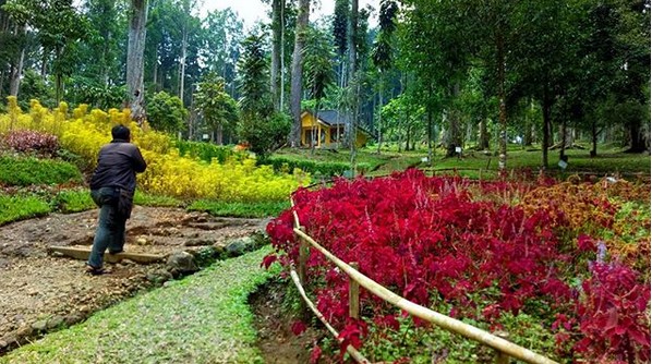 Kebun Raya Baturaden 5
