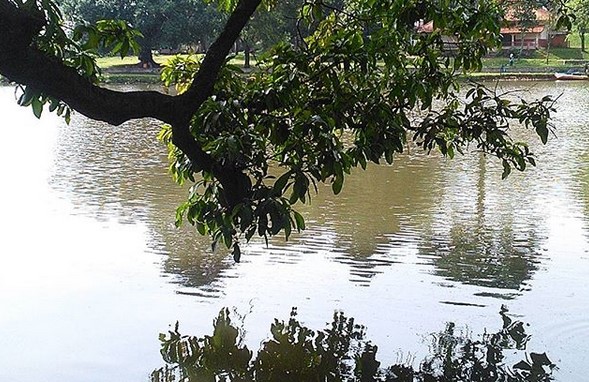 10 Gambar Studio Alam Tvri Depok, Harga Tiket Masuk, Lokasi Alamat, Villal di Sekitar Wisata + Jam Buka Tutup 7