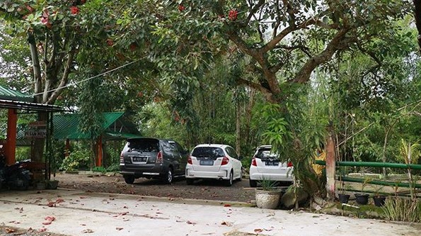 10 Gambar Pemancingan Janti Klaten, Harga Perkilo Ikan, Lokasi Alamat, Jam Buka Tutup, Kolam Renang Umbul, Nomer Telepon + Rute Menuju Wisata 3