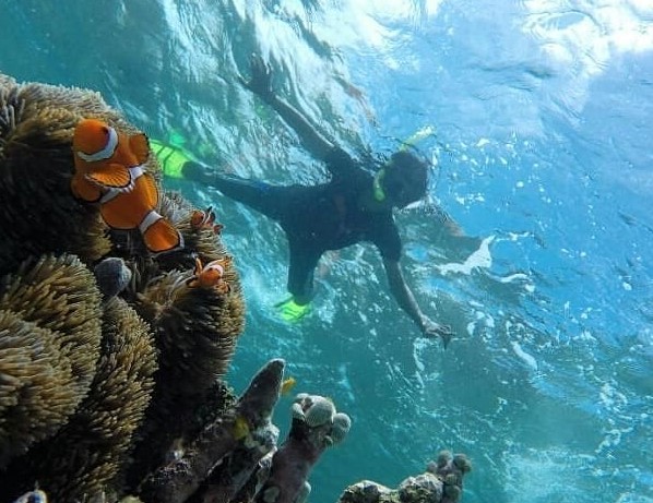 10 Gambar Pulau Kapoposang Makassar, Lokasi Alamat, Penginapan di Sekitar Area + Rute Jalan Menuju Wisata 5