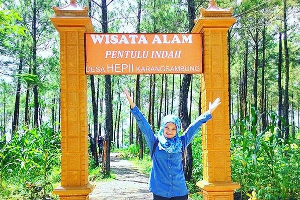 10 Gambar Bukit Pentulu Indah Kebumen, Harga Tiket Masuk, Lokasi Alamat, Rute Jalur Menuju Wisata + Jam Buka Tutup 9 10 Gambar Bukit Pentulu Indah Kebumen, Harga Tiket Masuk, Lokasi Alamat, Rute Jalur Menuju Wisata + Jam Buka Tutup 9