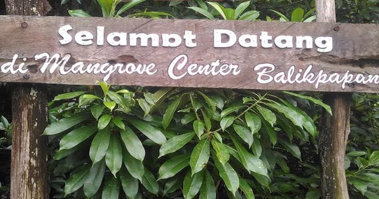10 Gambar Hutan Mangrove Balikpapan, Sejarah Legenda, Lokasi Alamat, Jalan Menuju ke Sana + Keindahan Wisata 3 10 Gambar Hutan Mangrove Balikpapan, Sejarah Legenda, Lokasi Alamat, Jalan Menuju ke Sana + Keindahan Wisata 3