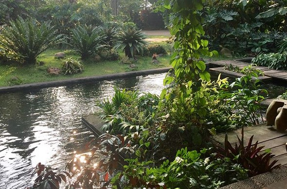 10 Gambar Godong Ijo Depok, Harga Tiket Masuk, Lokasi Alamat, Jam Buka Tutup, Nomer Telefon + Kuliner di Sekitar Area 3 10 Gambar Godong Ijo Depok, Harga Tiket Masuk, Lokasi Alamat, Jam Buka Tutup, Nomer Telefon + Kuliner di Sekitar Area 3