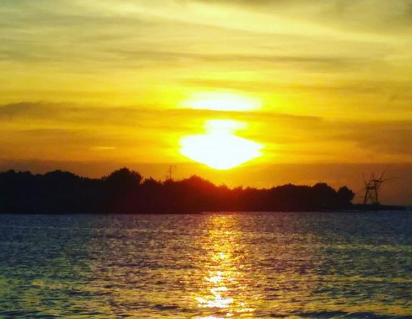 Jalan Menuju Wisata Pantai Pailus Jepara dan Potret Keindahan di Sekitar Area 8