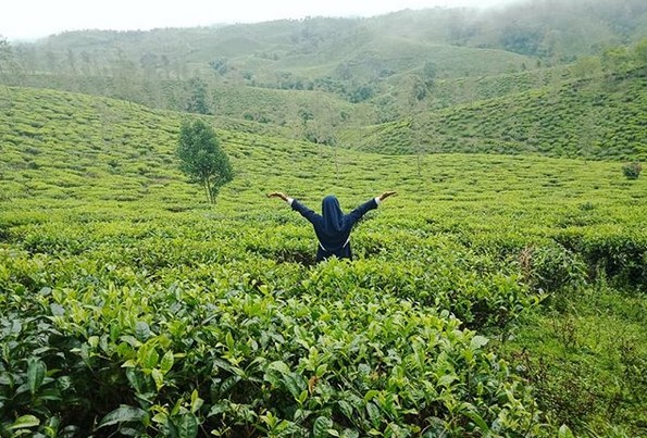 10 Gambar Kebun Teh Taraju Tasikmalaya, Harga Tiket Masuk, Lokasi Alamat, Nomer Telefon + Perkebunan di Buat Obyek Wisata? 2