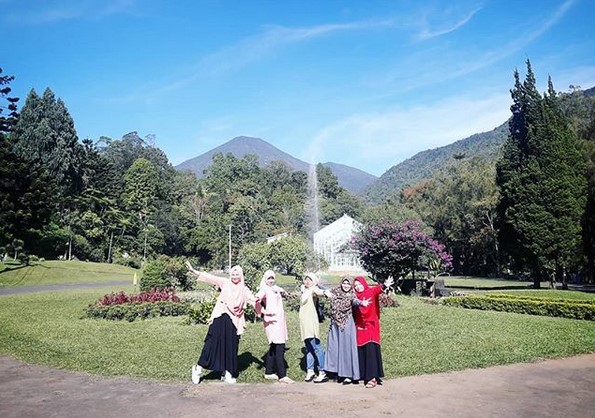 Beberapa Potret Taman Bunga Sakura di Kebun Raya Cibodas dan Berapa Harga Tiket Masuknya? 1 Beberapa Potret Taman Bunga Sakura di Kebun Raya Cibodas dan Berapa Harga Tiket Masuknya? 1