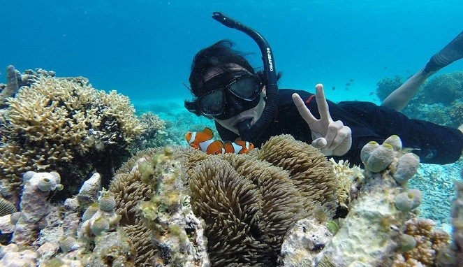 10 Gambar Pulau Kapoposang Makassar, Lokasi Alamat, Penginapan di Sekitar Area + Rute Jalan Menuju Wisata 6