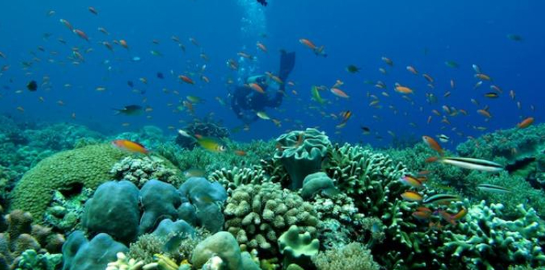 10 Gambar Taman Laut Taka Bonerate Makassar, Sejarah Asal Usul, Lokasi Alamat, Luas Area + Akses Jalan Menuju ke Sana 2