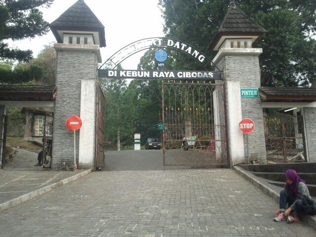 Beberapa Potret Taman Bunga Sakura di Kebun Raya Cibodas dan Berapa Harga Tiket Masuknya? 9 Beberapa Potret Taman Bunga Sakura di Kebun Raya Cibodas dan Berapa Harga Tiket Masuknya? 9