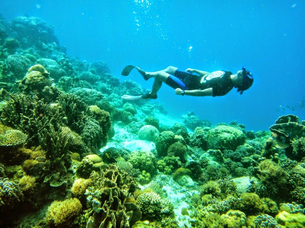 10 Gambar Pulau Kapoposang Makassar, Lokasi Alamat, Penginapan di Sekitar Area + Rute Jalan Menuju Wisata 8